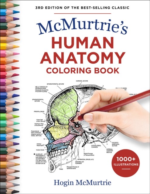 McMurtries Human Anatomy Coloring Book by Hogin McMurtrie PAPERBACK