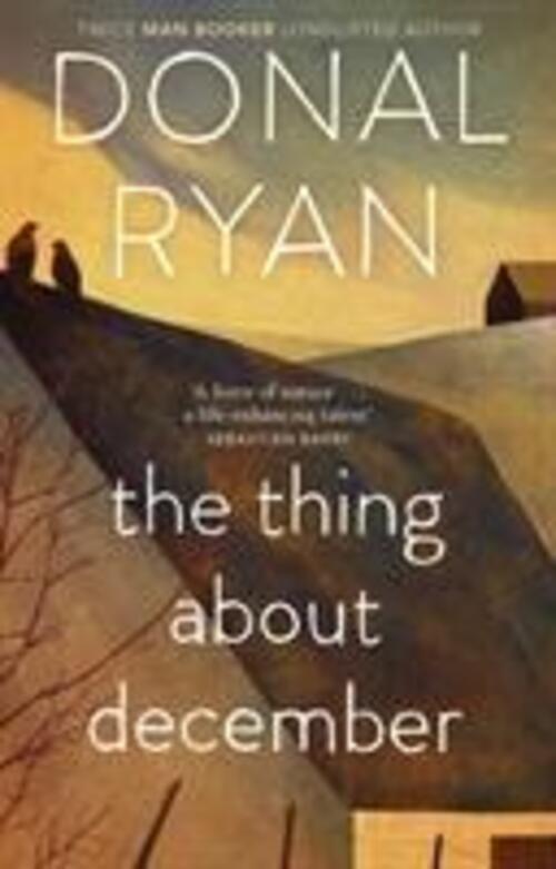 Thumbnail - Donal Ryan | The Thing About December | Taschenbuch | Englisch (2014)
