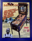 RIPLEY'S BELIEVE IT OR NOT - Original Stern Pinball Flyer 2004 - Box Shipped — photo 1