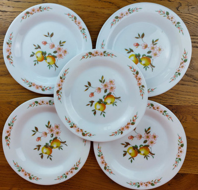 Vintage Dessertteller Arcopal France Milchglas 18,5 cm 5er Set Apfelblüte