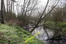 Photo 6x4 The River Maun Perlethorpe Approaching its confluence with the  c2015