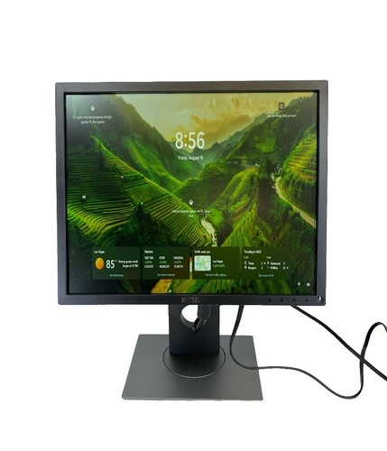 Dell E170sc LCD Monitor Display 17