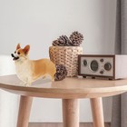 Bild 11 von 11