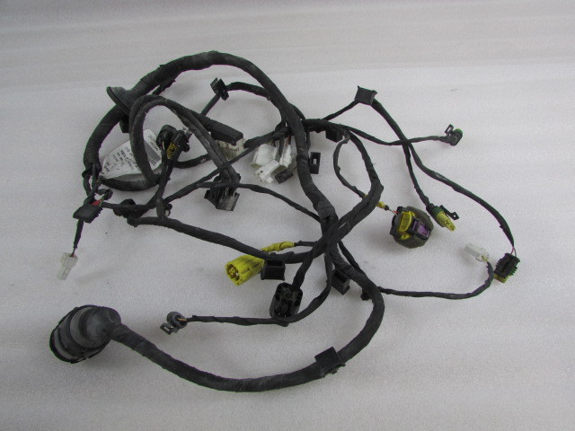 Ferrari 458 Italia, LH Left Door Wire Harness, No Hi-Fi, Full Option, P/N 261311