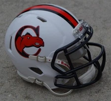 CAMPBELL UNIVERSITY FIGHTING CAMELS WHITE FOOTBALL MINI HELMET OTHER STYLES TOO