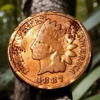 1887 Indian Head Cent Actual Coin Shown - 13
