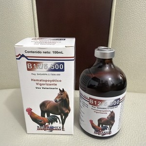 B12 Injectable