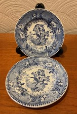 Antique Elkin & Newbon Blue And White Pearlware Botanical Beauties 15cm plates