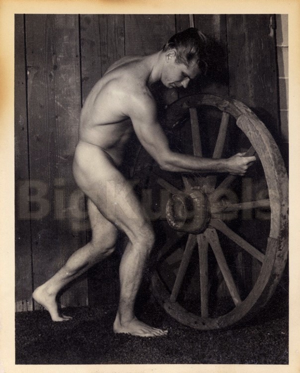 SALE 1950s VINTAGE BRUCE Handsome DON HAWKSLEY Male Physique MUSCLE Beefcake