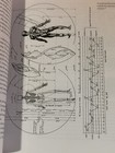 Picture 5 of 5