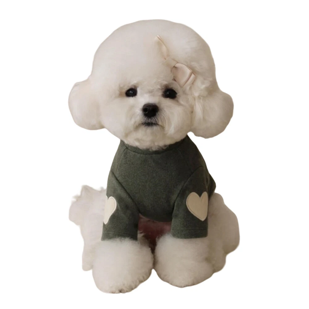 VETEMENTS Felpa con cappuccio calda cucciolo gilet abbigliamento cane gatto Apprael felpa maglione au v