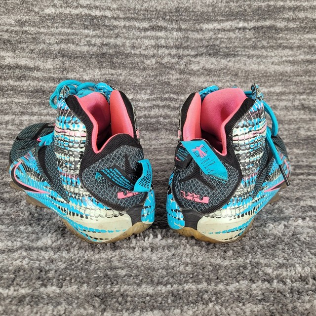 lebron 12 chromosomes outfit