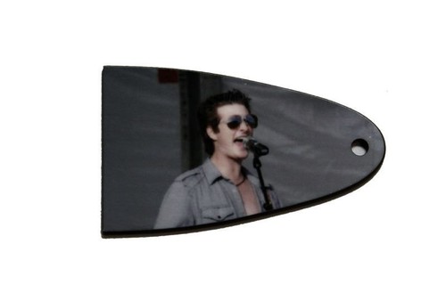 Maßgeschneiderte personalisierte Truss Rod Abdeckung mit Bild oder Logo für Schecter Gitarren - Bild 3 von 4