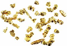 0.250 GRAMS ALASKAN YUKON BC NATURAL PURE GOLD NUGGETS #14 MESH