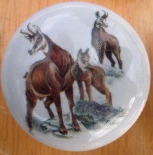 Cabinet Knobs Mountain Goat #2 Wildlife