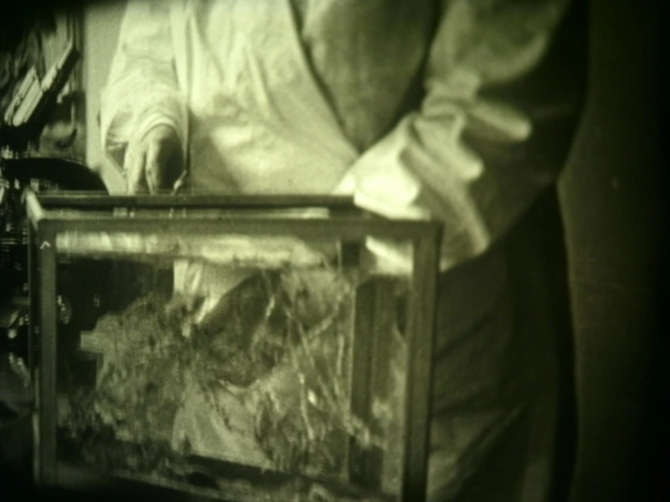 16mm Soviete education " Processes in a plant cell " Film b/w Movie Nature - Image 2 of 4
