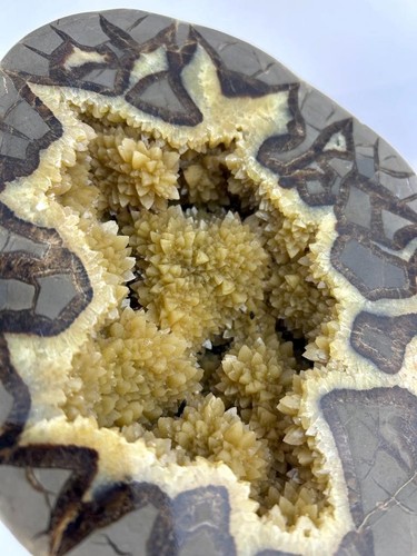 Septarian Nodule Specimen Half from Utah USA Polished Side Rough Exterior 6 LBS - Imagen 5 de 6