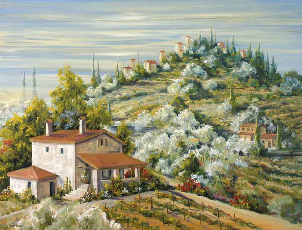 Foto 1 di 3