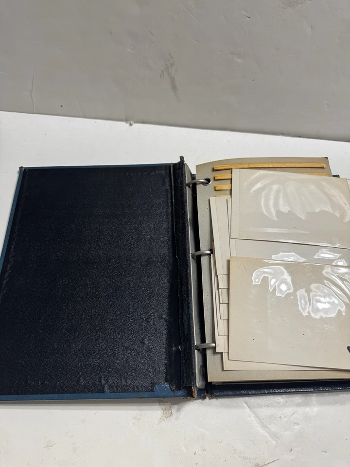 Álbum de fotos vintage de cuero unido con varias fotos, familia, casino, Foto 4 de 4