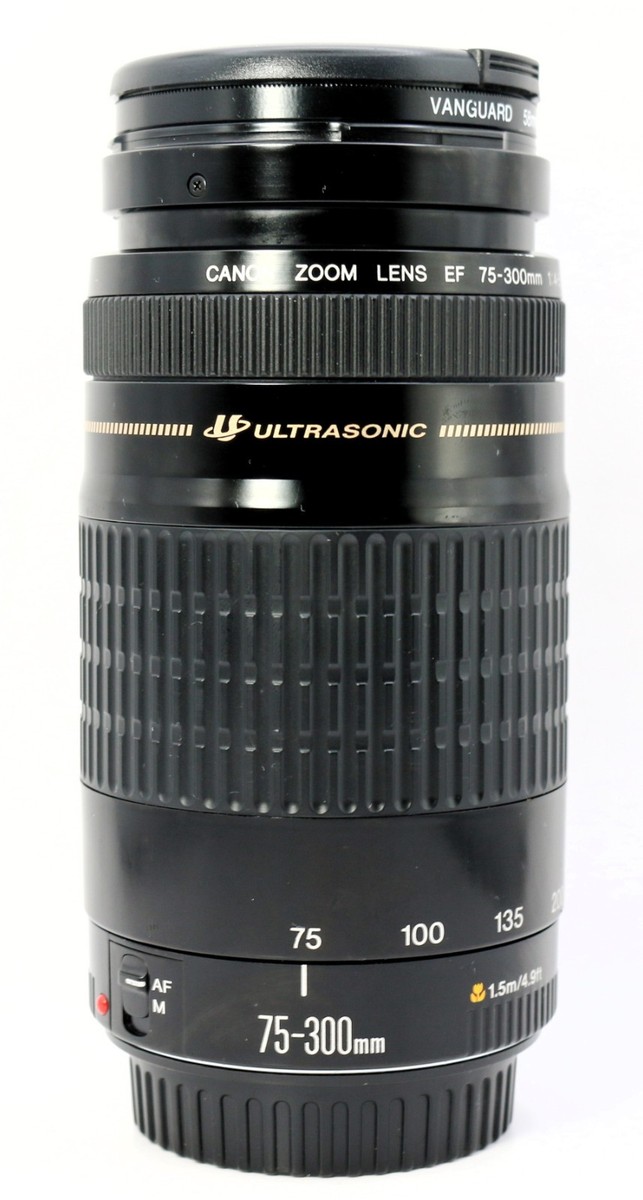 Canon EF 75-300mm f/4-5.6 ULTRASONIC Zoom Lens – No IS – Tested