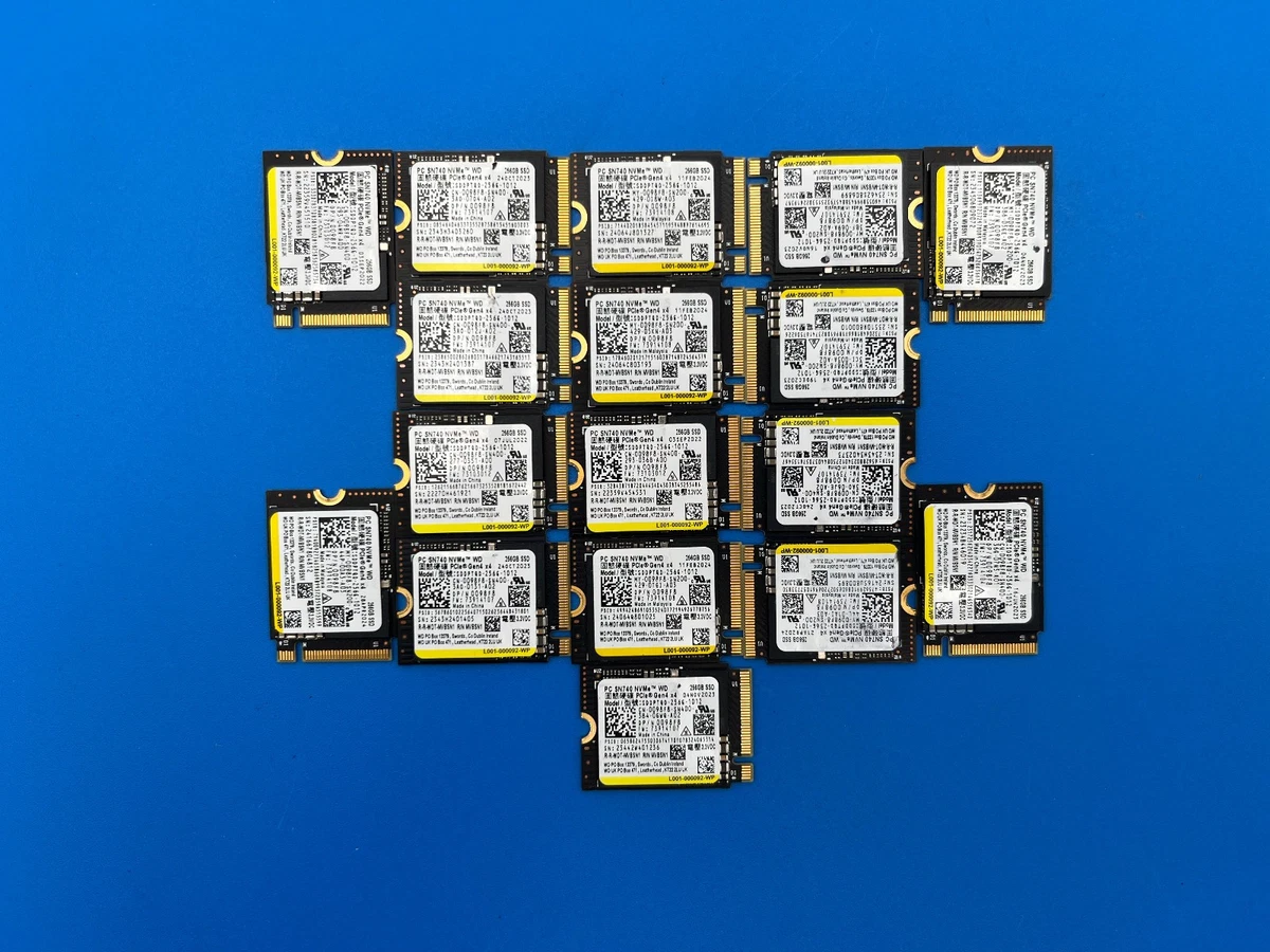Western Digital 256 GB Solid State Drives for sale | eBay