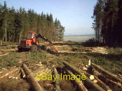 Photo 6x4 Forestry operations at Fourlaws Ridsdale Clear-felling at Fourl c2007