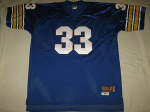 panthers jersey men