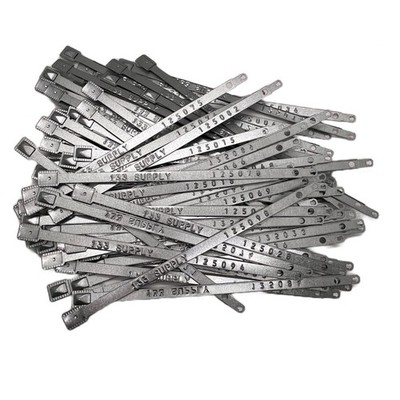 133 SUPPLY 100 Metal Truck Seals - Trailer & Container 218mm*8mm, Silver