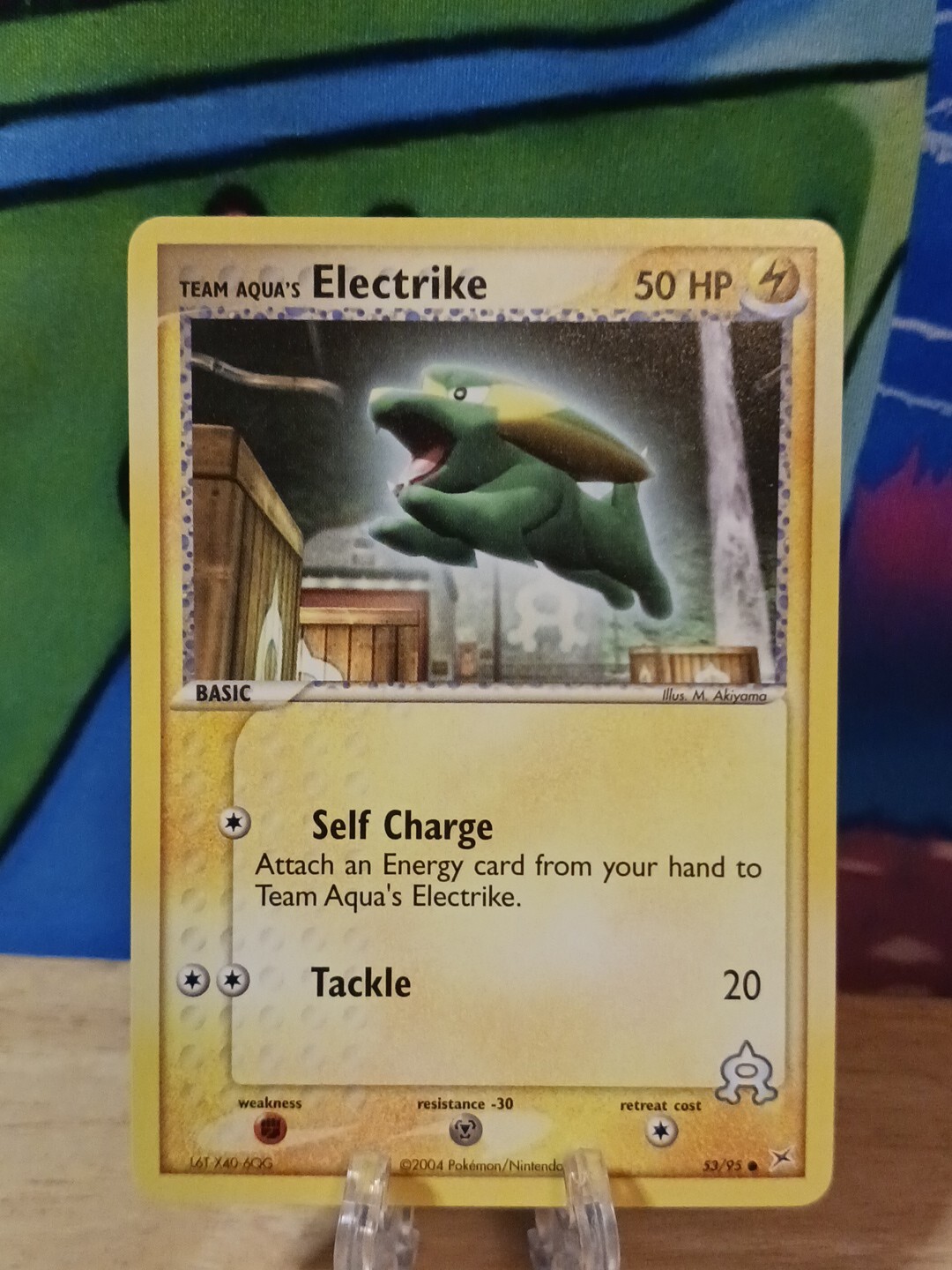 Team Aqua's Electrike 53/95 Team Aqua vs Magma Pokemon Card M/NM