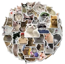 50pcs Cat Meme Stickers Funny Cute for Kids Laptop Notebook Water Bottle Or Gift