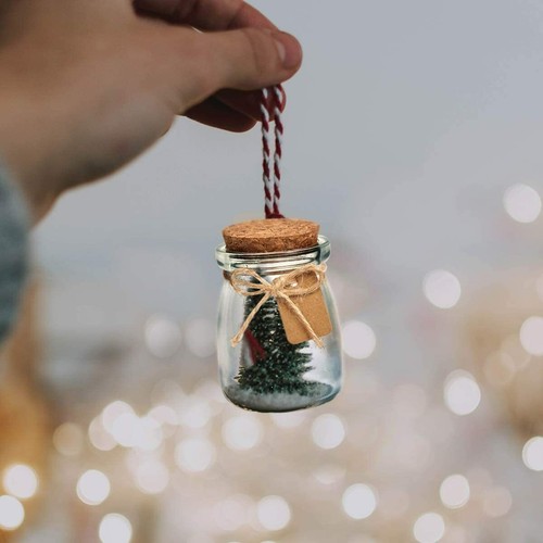 Glass Favor Jars with Cork Lids Glass Pudding Jars Glass Containers Mason Jar AU - Picture 8 of 12