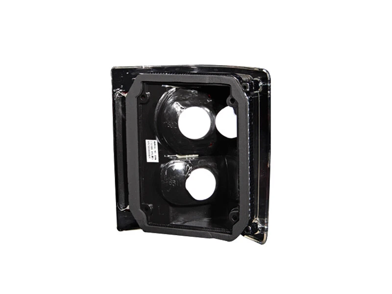 ANZO 1973-1987 Chevrolet C 10 Taillights Carbon Foto 4 de 4