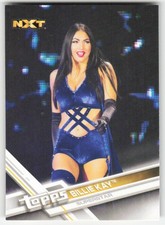 2017 Topps WWE Billie Kay #64