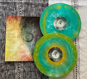 Animals As Leaders Vinyl | eBay
