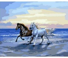 Paint By Numbers Kit Running Horse Seaside Sunrise 40CMx50CM Canvas