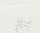 The Twelve Kingdoms Juuni Kokki Genga Douga Original Sketches Pierrot - Youko — photo 3