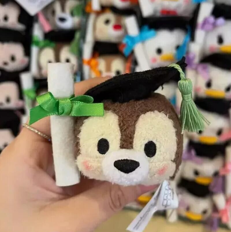 2024 Disneyland New Hong Kong Disney TSUM TSUM mini plush graduation