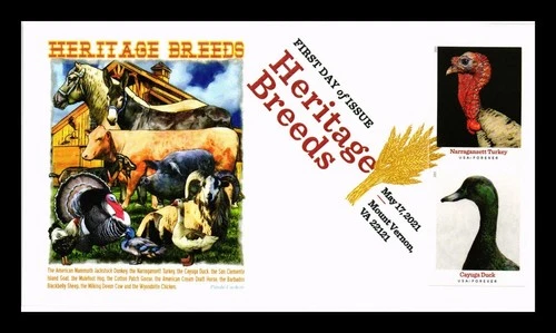 DR JIM STAMPS US COVER HERITAGE BREEDS IMPERFORATE FDC PANDA CACHET