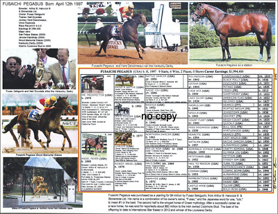 Horse Racing Fusaichi Pegasus picture pedigree K Derby Most expensive horse 11X8