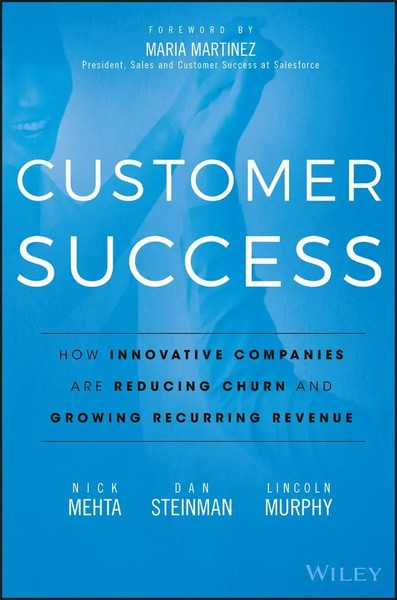 Dan Steinman (U. A.) | Customer Success | Buch | Englisch (2016)-image