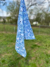 Dog Paisley 22x22 Bandanna