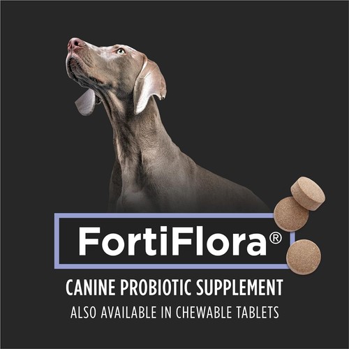 Fortiflora Dog Probiotic Supplement, Canine Nutritional Supplement - 30 Ct. Box - Picture 3 of 11
