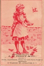 A. D. Perry & Co Seeds Farm Supplies Birds Syracuse NY Victorian Card VT103