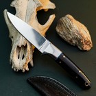 7.7" inch D2 Steel Hunting Knife Full Tang Resin Handle Fixed Blade + Sheath — photo 5