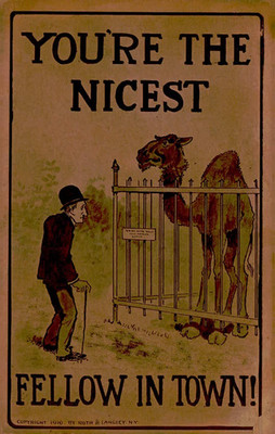 1910 Roth & Langley Comic Postcard Nicest Fellow In Town Camel Zoo Unused