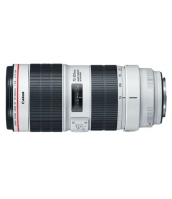 Canon EF 70-200 mm f/2.8L IS III USM Camera Lens (3044C002
