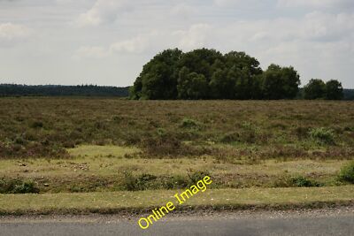 Photo 6x4 New Forest, Hampshire Furzey Lodge View from the road between B c2014