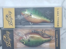 2 NEW Bagley Small Fry 1 Crankbaits 1/4 oz