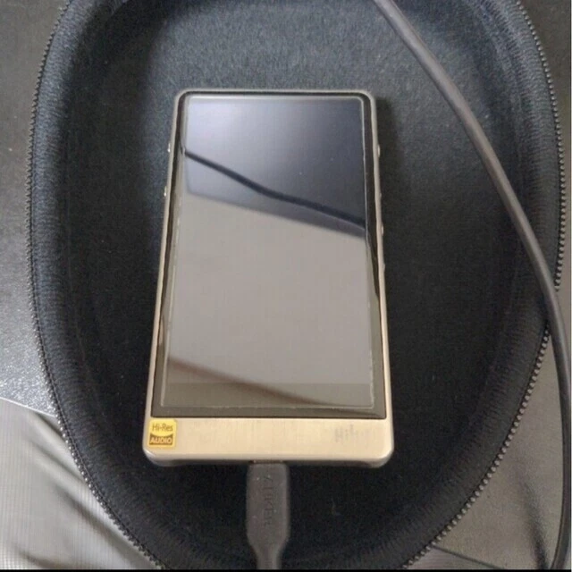 Hiby digital audio player R6SS stainless steel housing model Used from Japan