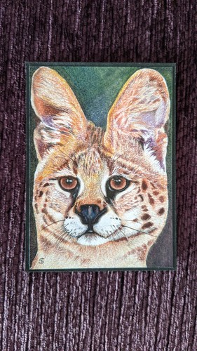 Serval Aceo/Atc, Original Color Pencil Drawing Miniature 2020